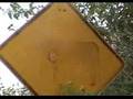 TUTURI ONO TUAI RAPA NUI LONGBOARD SECTOR 9