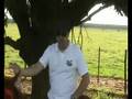 Tvforfa turismo rural