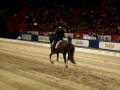 Jan Brink & Briar 899 Sista ritt i Globen 2008