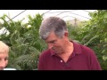 2min Pests - Broadleaf Weeds