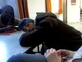 Jey Ta mere Jey Ta mere