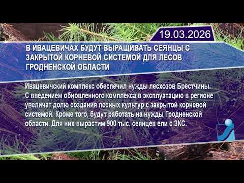 Новостная лента Телеканала Интекс 19.03.26.