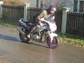 seba  fzr 600r