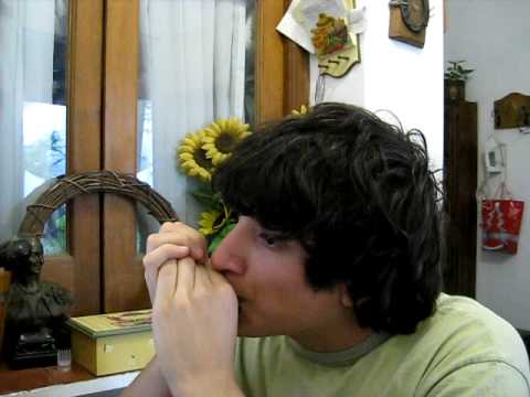 Love Me Do - The Beatles Armonica