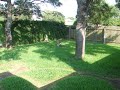 A English Bulldog Carves Circles In Grass A English Bulldog Carves Circles In Grass