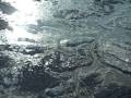 Aerial footage: TVA storage pond breach in Harriman