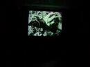 Max Brooks on Zombie Survival; Part 5 Max Brooks on Zombie Survival; Part 5