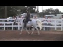 Whiskey Sue For Sale