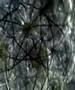 TOMAS SARACENO BIOSPHERE MW 32