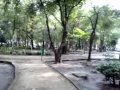 Parque Condesa Park Mexico City - Hotels Discounts Video