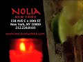 Nolia