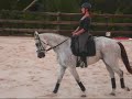 Valiente Zorro 2009 Valiente Zorro 2009