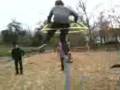 la roulette les minis jackass