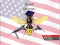 This Week Tonight Wasps