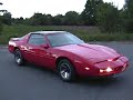 Red Kitt Red Kitt