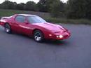 Red Kitt