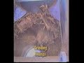 Vertical Shaft Grinder - Theco Inc.