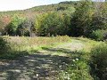 Logging Road Riding Part 2 Logging Road Riding Part 2