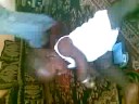 ramatoulaye coulibaly ramatoulaye coulibaly