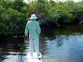 Lost Snook on Fly