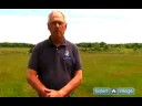 Get Started with Bird Watching : Why Birding is So Popular Get Started with Bird Watching : Why Birding is So Popular