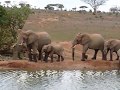 Safari in Tsavo West National Park Kenya - YouTube