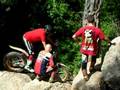 toni bou