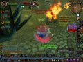 shiso shaman enhancement lvl 55