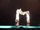 COLOMBIAN SOUL DANCE COMPANY