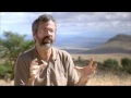 Sustainability by Trophy Hunting