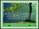 MENSAGEM DO MINIST�RIO EVANG�LICO DE PAULO ROBERTO BARBOSA