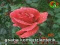 Habanera (Xabier Lete)