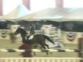 Quick Boy at Sacramento International Horse Show