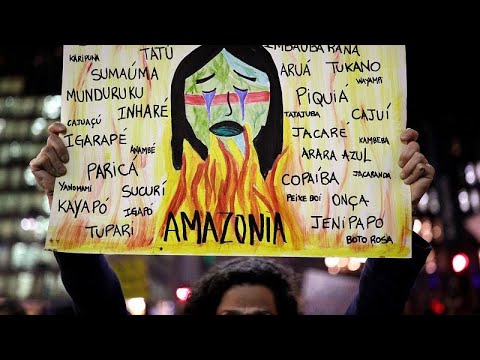 Brasilien: Bolsonaro setzt Militr gegen Feuer und Bran ...