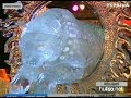 Видеоновость Германия | В Роверсхагене открылась выставка ледяных фигур