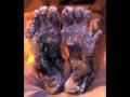 videos de Chinese Foot Binding