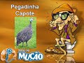 Mucao.com.br - Pegadinha - Capote