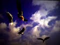 2008EUROX Re-Union PV ver:1.00 Highquality