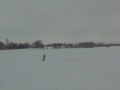Snow Kiting Madison - 12-30