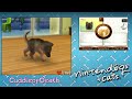 nintendogs