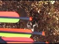 Central Ohio Whitetail Deer Hunting