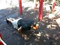 \"Achilles\"  Push ups 2 live crew/ Bartendaz