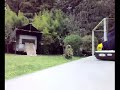 TEDESCA CASA SENESI JESI 1/2
