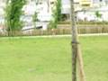 atletismo