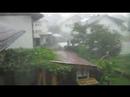Der Sturm