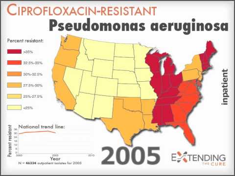 how to isolate pseudomonas aeruginosa