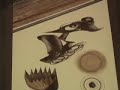 http://www.artnet.com/awc/eugene-j-martin.html . 
this is part 2 of a 4-part series on the whimsical animals of visual artist eugene j. martin. the works dating from 1981-1982 are pen & brown ink bamboo stick drawings created in washington d.c.  video clip montage by s. fredericq, filmed in lafayette, la (louisiana).

