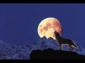 Aşık Sefai - Divan - Turkic Ülkücü Bozkurt Alperen