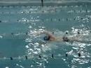 entrenamiento, t�cnica de crol de hern�n