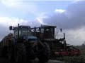 Aardbeiplanten rooien bij Vissers aardbeiplanten bv America Aardbeiplanten rooien bij Vissers aardbeiplanten bv America